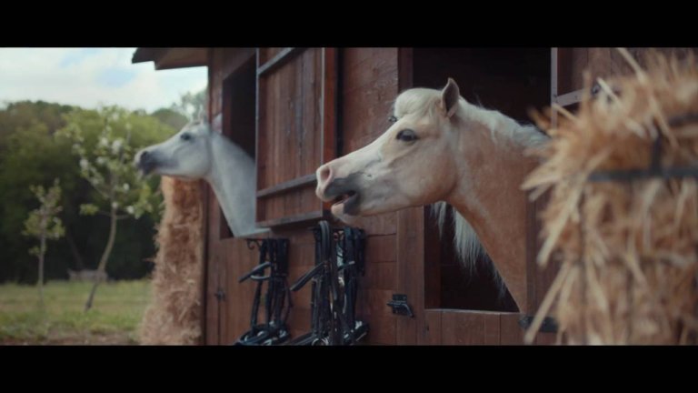 Werbung mit reiner Körpersprache zum Ablachen