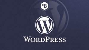 Online-Kurs zu WordPress von Pascal Bajurat
