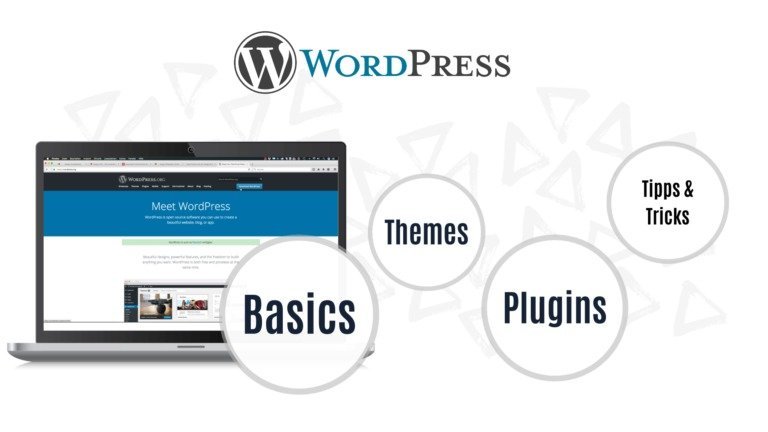 Online-Kurs zu Wordpress von Pascal Bajurat