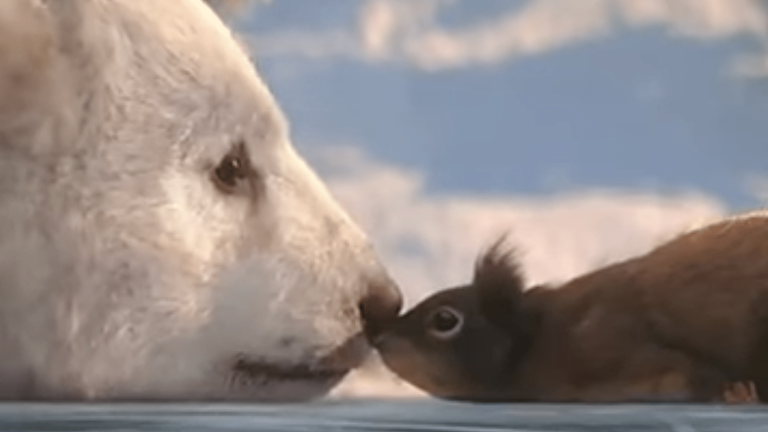 Animationsfilm Eisbär u. Eichhörnchen